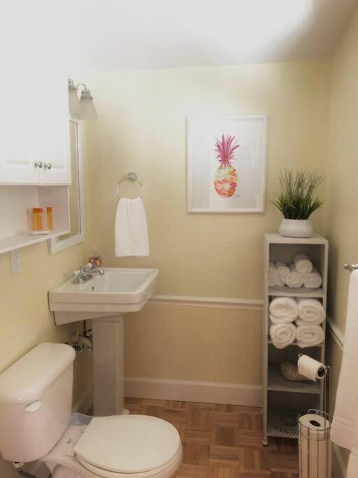 2 Bedroom Overlooking Town Square No Kids, No Pets Dunedin