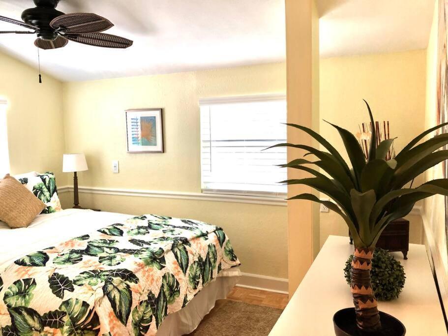 2 Bedroom Overlooking Town Square No Kids, No Pets Dunedin