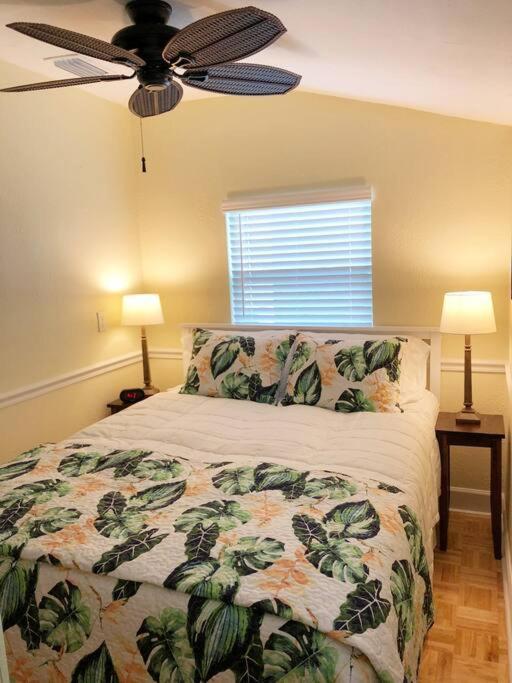2 Bedroom Overlooking Town Square No Kids, No Pets Apartment Dunedin