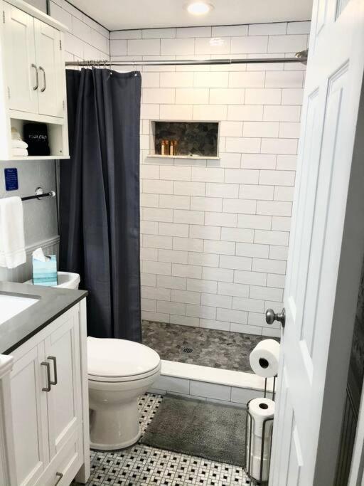 In The Heart Of Downtown One Bedroom No Kids, No Pets