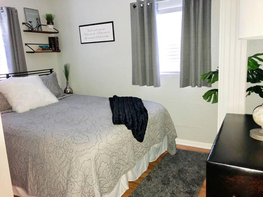 Downtown Dunedin! 2 Bedroom 2 Bath No Kids, No Pets Apartment *