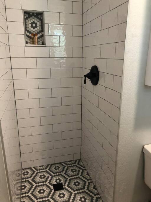 Apartment Downtown Dunedin! 2 Bedroom 2 Bath No Kids, No Pets Dunedin