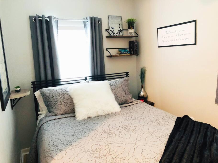 Apartment Downtown Dunedin! 2 Bedroom 2 Bath No Kids, No Pets