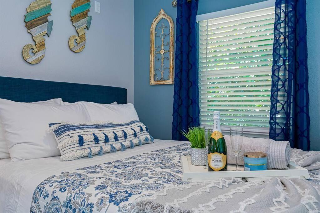 Downtown Gem, Fully Renovated #4 Dunedin