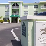 Dolphins Playground