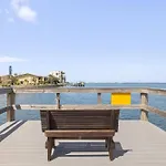 Dolphins Playground