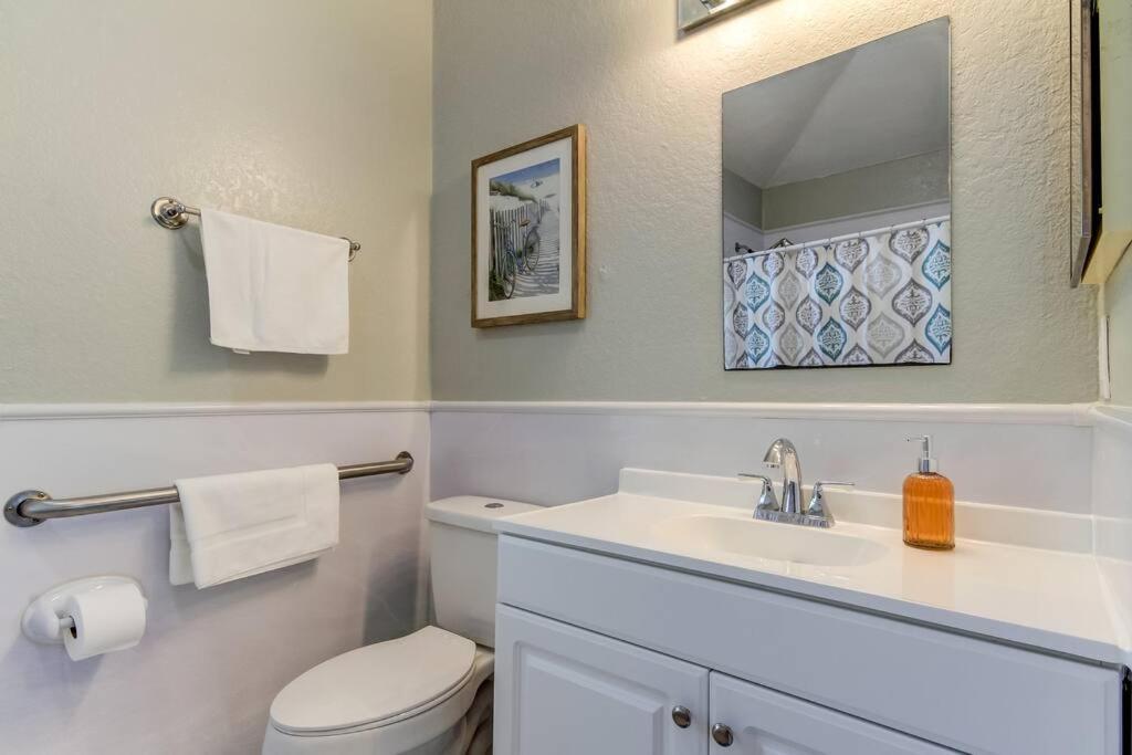 Apartment Beautiful In Downtown Dunedin!
