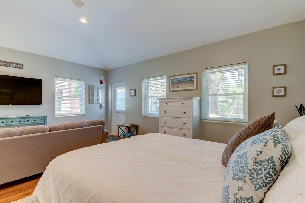 Apartment Beautiful In Downtown Dunedin! Dunedin