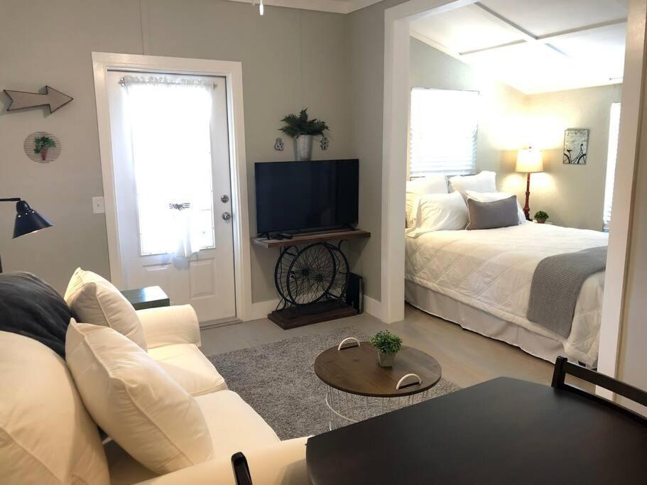 Cozy Overlooking Downtown And Park No Kids, No Pets Dunedin