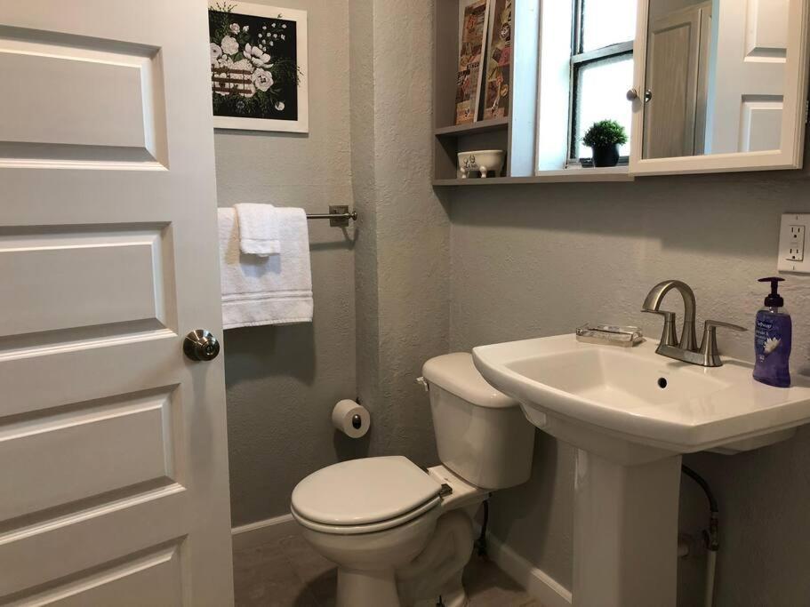 Downtown Dunedin! 2 Bedroom 2 Bath No Kids, No Pets Apartment *
