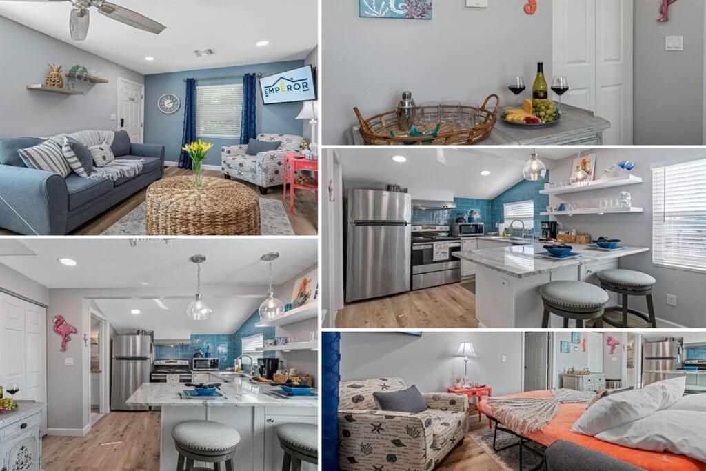 Downtown Gem, Fully Renovated #4 Apartment Dunedin