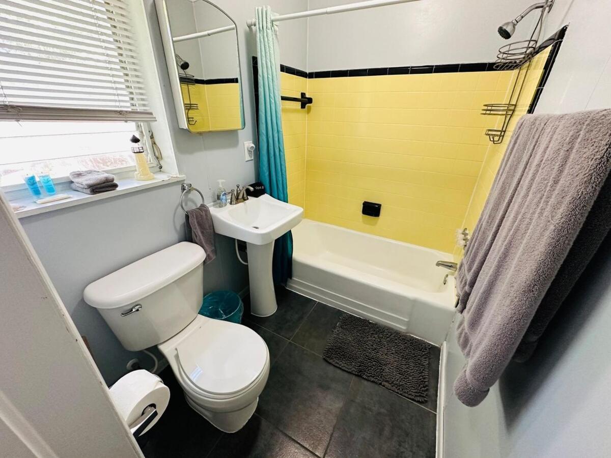 Blue Jay - Cozy Oasis With Fire Pit Apartment Dunedin