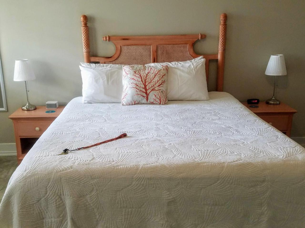Sunny Side Cottages Bed & Breakfast Dunedin